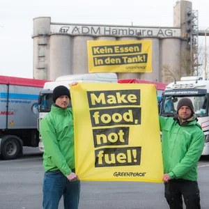 Greenpeace-Aktivisten halten ein Plakat mit der Aufschrift „Make food, not fuel!“ in den Händen vor einer Ölmühle in Wilhelmsburg.