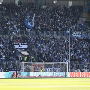 Arminia Bielefeld Fans
