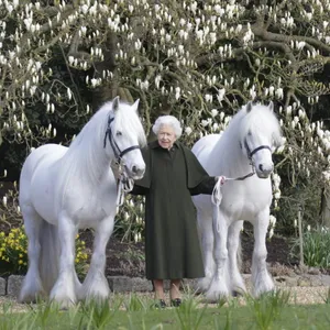 Queen Geburtstag