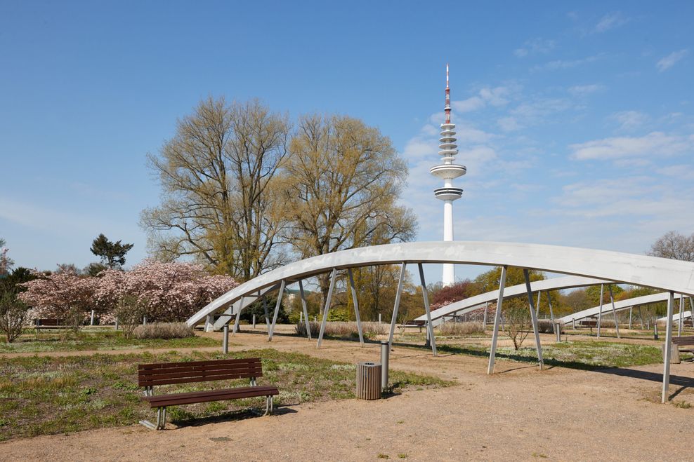 Der Dachgarten ist direkt vom CCH aus betretbar.