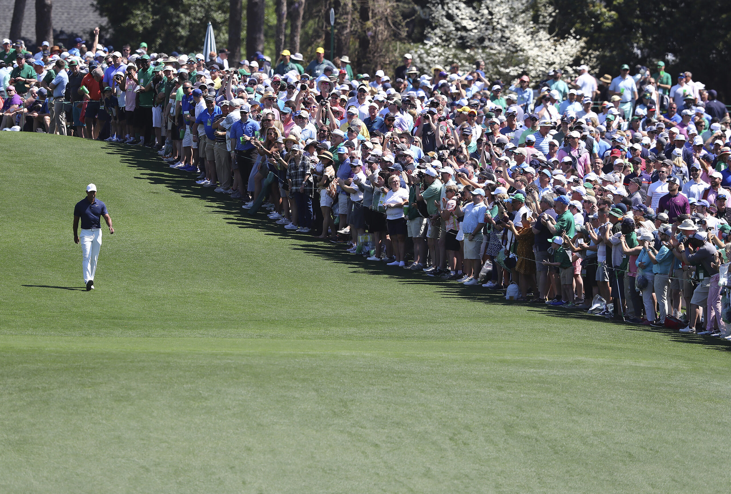 Golf Superstar Tiger Woods geht vor einer Zuschauermenge auf dem Golfplatz