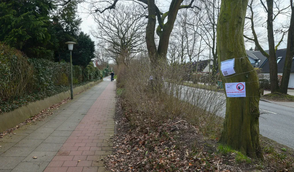 Die Bäume in der Straße Karlshöhe sollten einem neuen Radweg weichen.