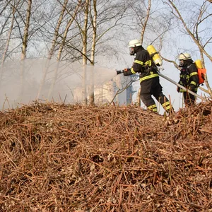 Feuerwehrkräfte löschen eine brennende Schilffläche in Hamburg-Rothenburgsort.