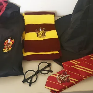 Zoll vernichtet gefälschtes Harry Potter Kostüme in Hamburg