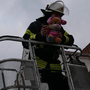 Rettung der Kuscheltiere