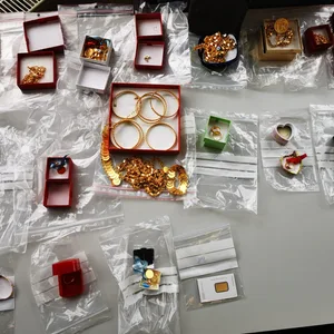 Bei einer Großrazzia im Norden beschlagnahmte die Polizei Geld, Schmuck und Luxus-Autos.