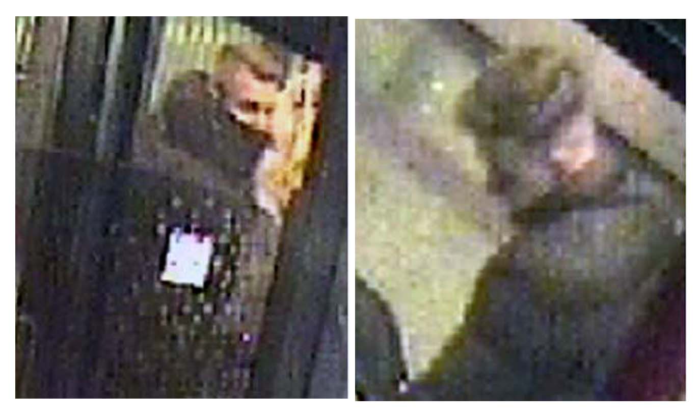 Mann in Bergedorfer Bahnhof angegriffen und verletzt – Fotofahndung