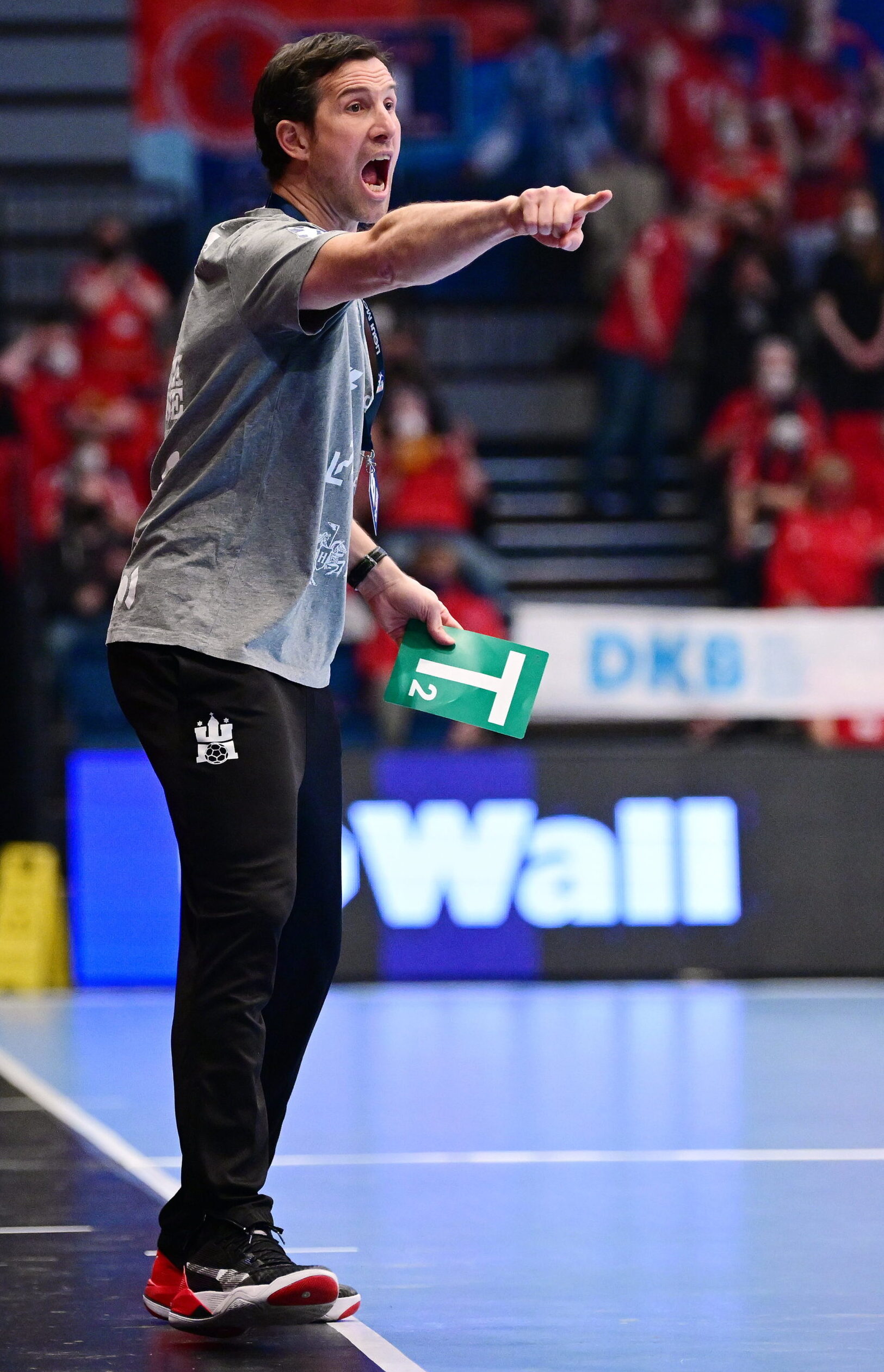 Handball HSV Hamburg Jansen
