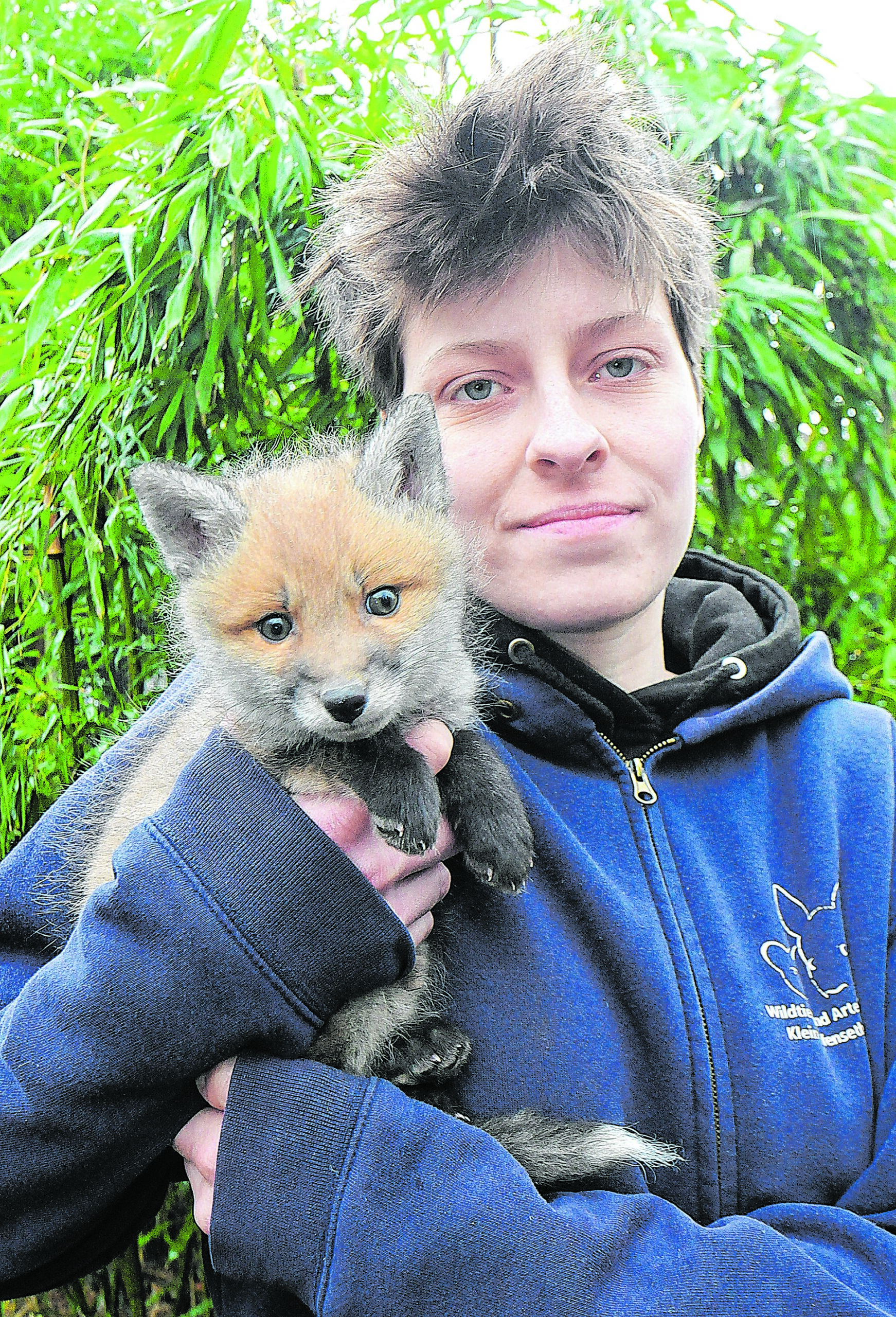 Tierpflegerin Marie Töllner trägt einen sechs Wochen jungen Fuchs.