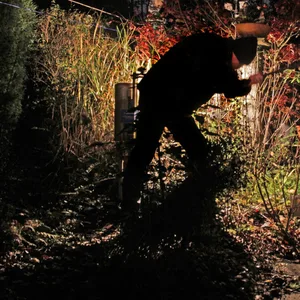 Ein Einbrecher treibt sein Unwesen in einem Garten (Symbolfoto).
