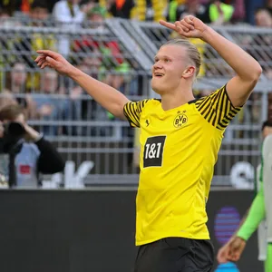 Erling Haaland