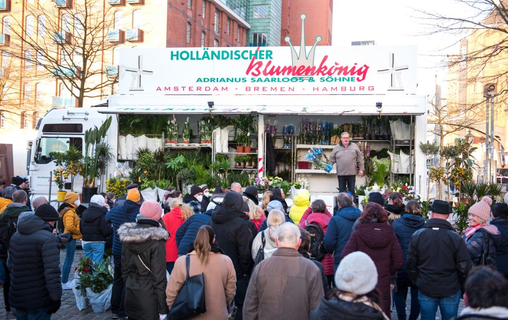 Holländischer Blumenkönig