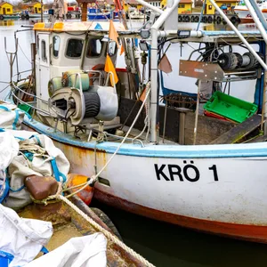 Fischkutter liegen im Fischereihafen Freest in Mecklenburg-Vorpommern.