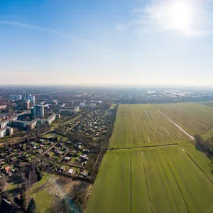 Auf dieser Wiese soll der neue Stadtteil Oberbillwerder entstehen. Eine Initiative kämpft gegen das Großprojekt
