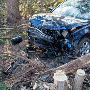 Bei Soltau: Autofahrer kracht gegen Baum und wird schwer verletzt
