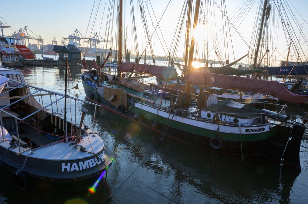 Mehrere historische Schiffe liegen im Sonnenschein im Museumshafen Övelgönne.