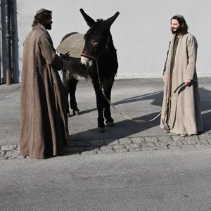 Jesus Darsteller, Rochus Rückl (M), hält den Großesel Aramis hinter dem Festspielhaus. Bei den Passionsspielen in Oberammergau gibt es nicht nur Rollen für Jesus, Maria und die Jünger auch Tiere sind mit auf der Bühne: Kamele, Pferde, Ziegen, Schafe, Enten, Hühner, Tauben - und ein Esel.