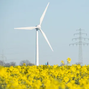 Fast alle Bundesländer hinken beim Ausbau der Windkraft hinterher (Symbolbild).
