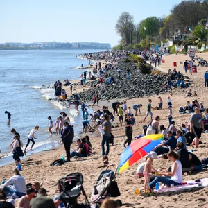 Menschen sitzen am Elbstrand in der Sonne.