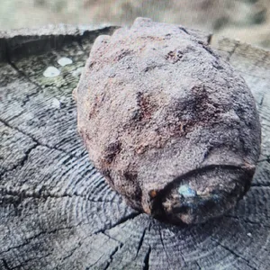 Die gefundene Handgranate liegt auf einem Baumstumpf.