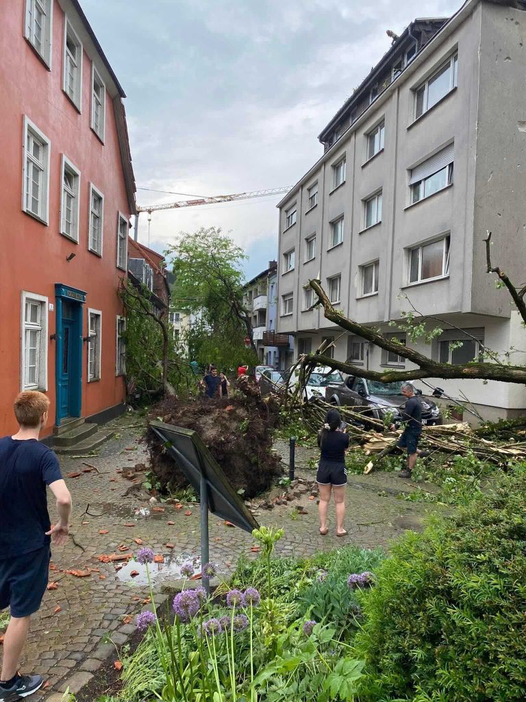 Umgestürzte Bäume im Paderborner Innenstadt-Bereich.