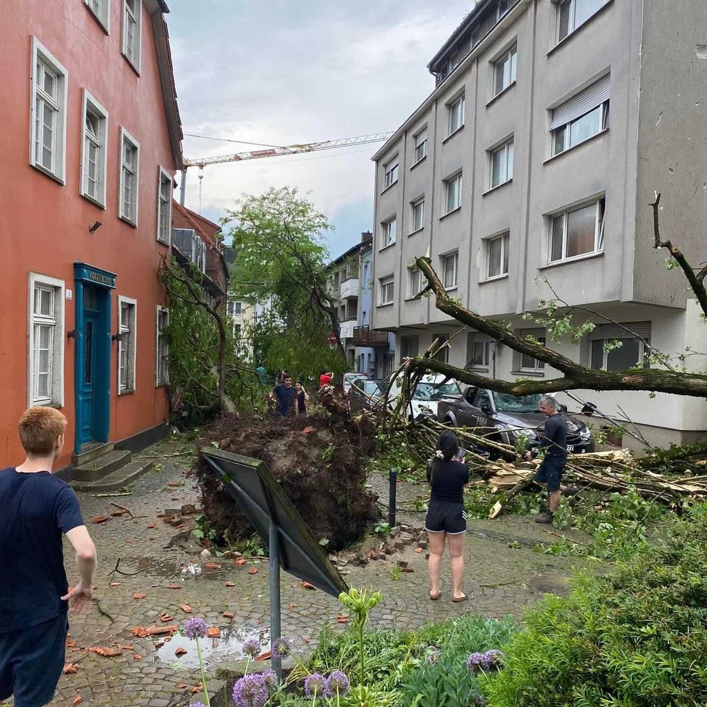Umgestürzte Bäume im Paderborner Innenstadt-Bereich.
