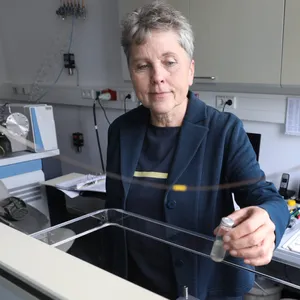 Meeresbiologin Maren Voß wird für ihre Forschung zur Bedeutung von Stickstoff in den maritimen Kreisläufen ausgezeichnet.