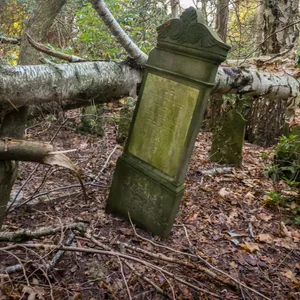 Grabstein Baum Jüdischer Friedhof
