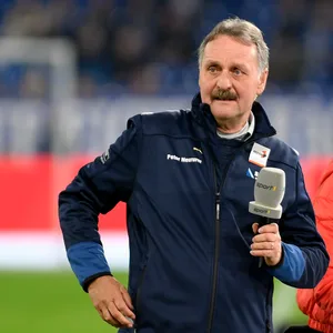 Peter Neururer als TV-Experte