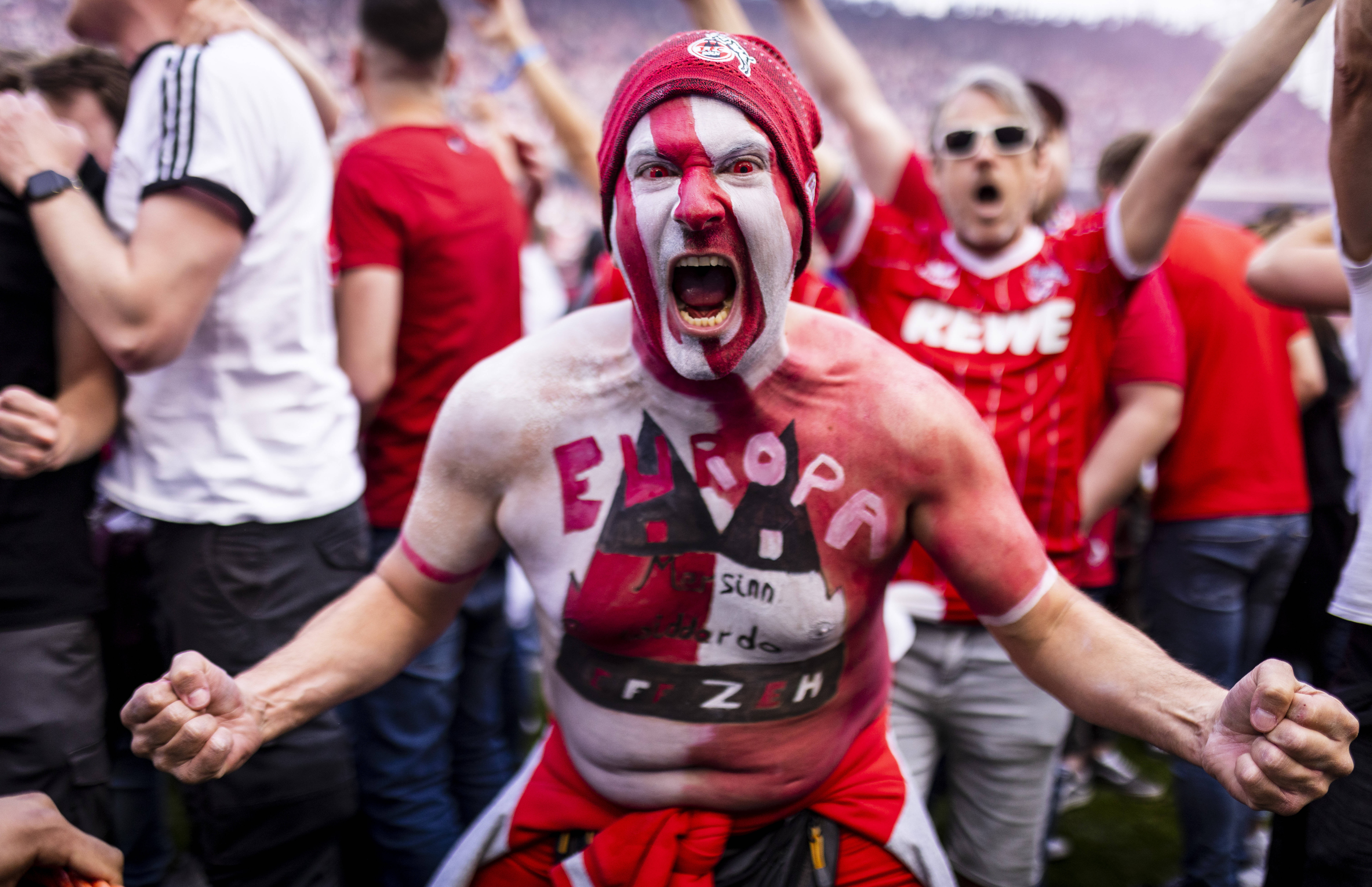 Fan, 1. FC Köln