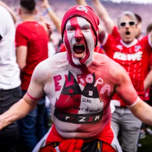Fan, 1. FC Köln