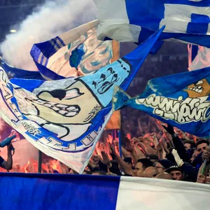 Schalke-Fans im Stadion