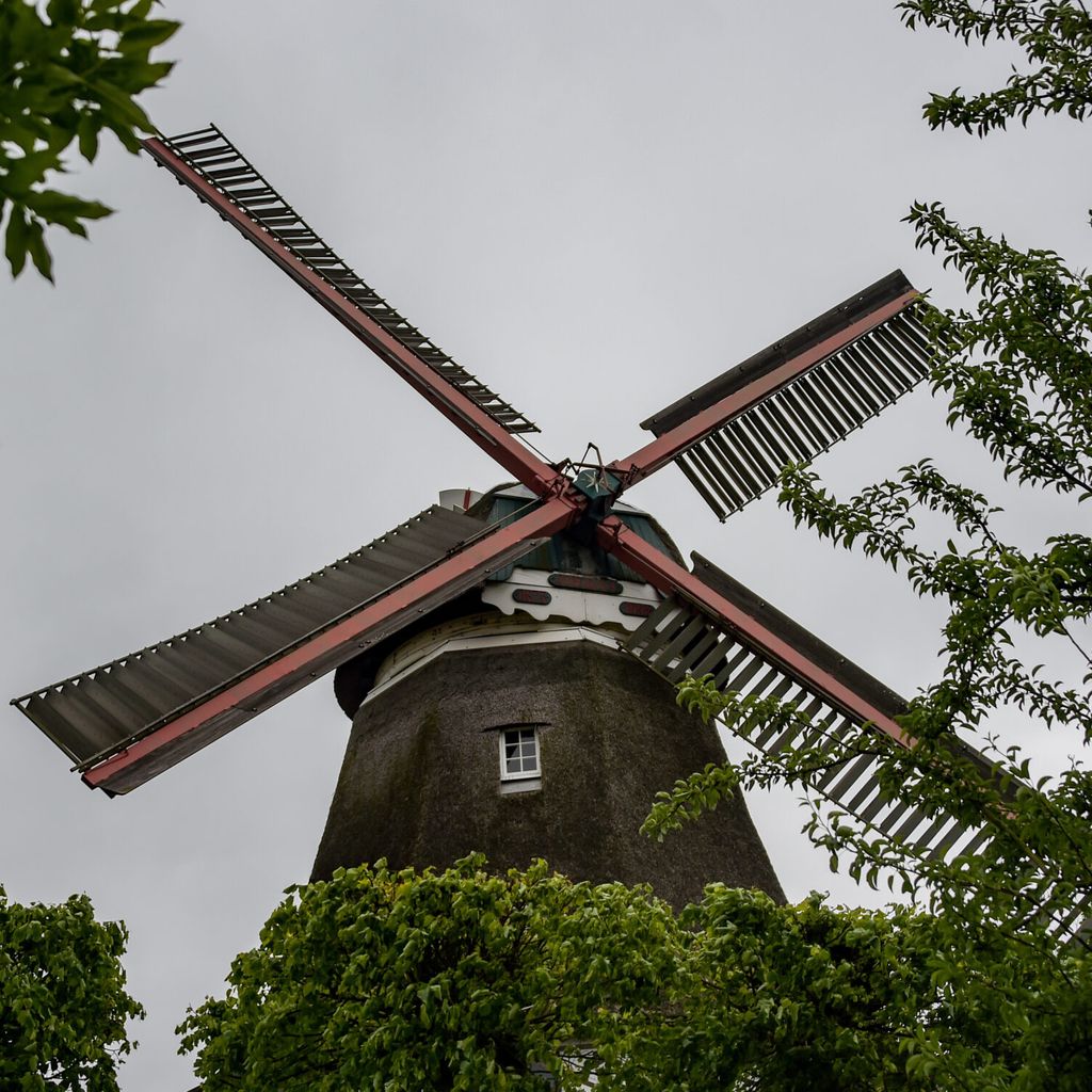 Die Windmühle „Johanna“ erhebt sich aus dem Stadtteil Wilhelmsburg.