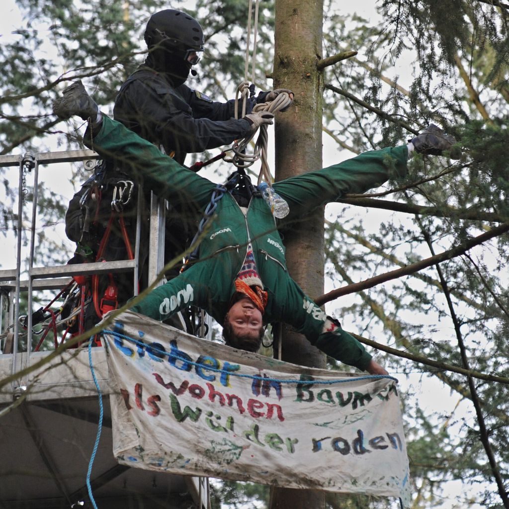Cecile Lecomte hängt an einem Baum im Wald bei Kelsterbach