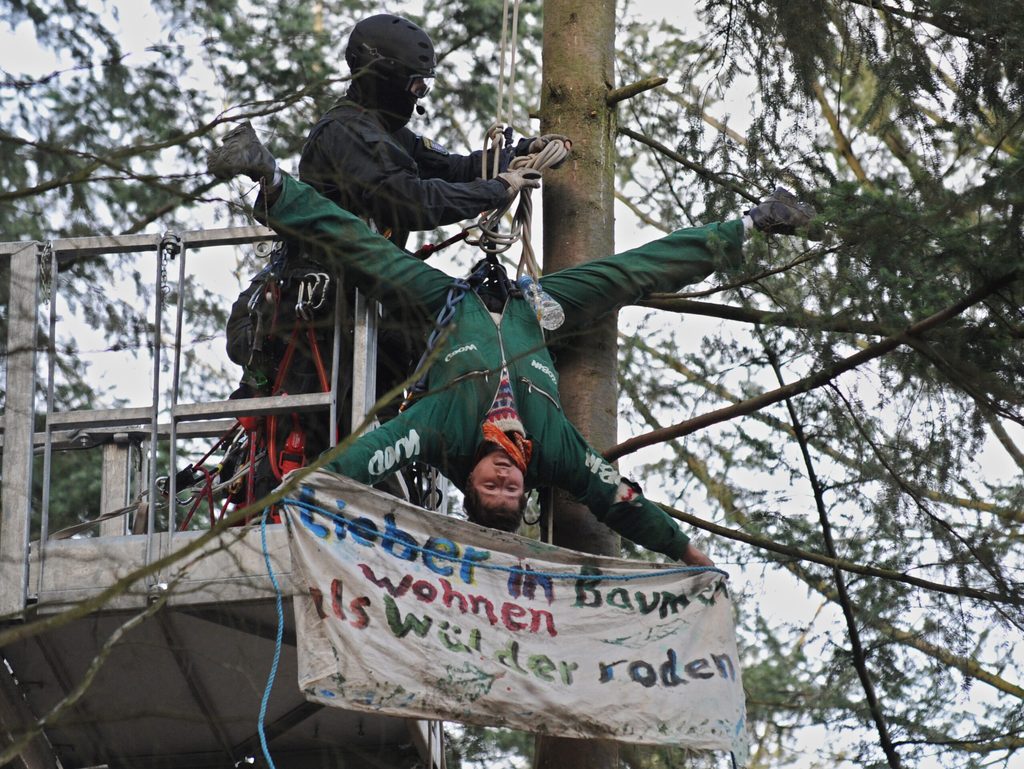 Cecile Lecomte hängt an einem Baum im Wald bei Kelsterbach