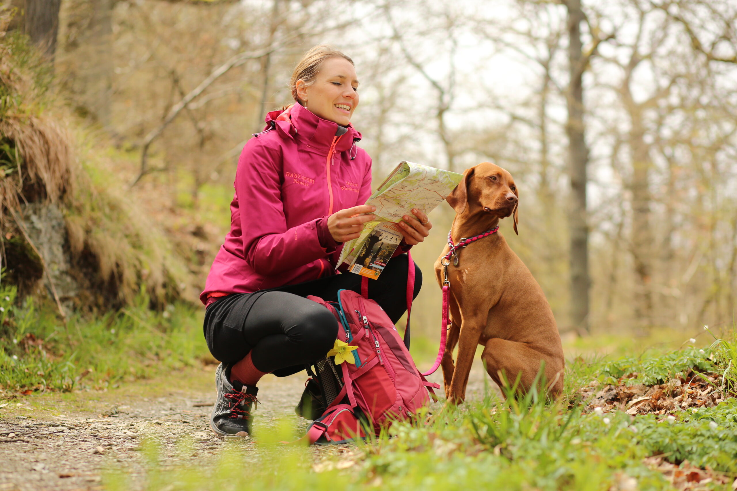 Wandern mit Hund