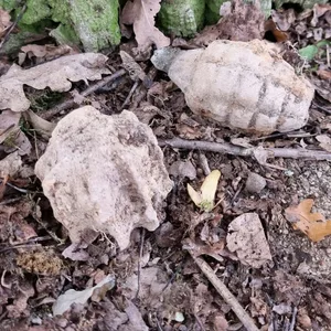 Eine Splittergranate liegt auf dem Boden. (Symbolbild)
