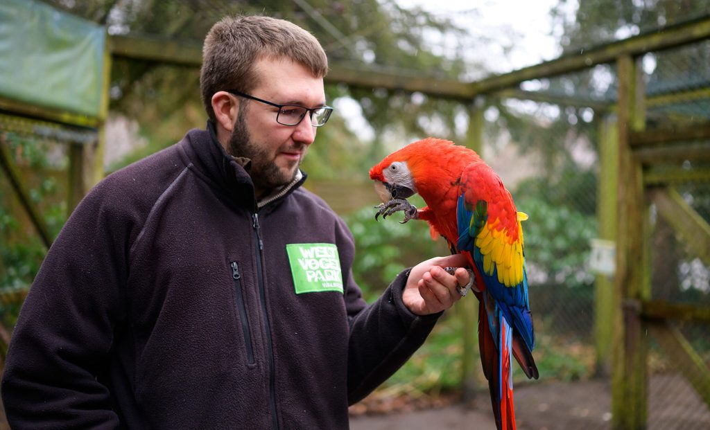 Vogelpark Walsrode