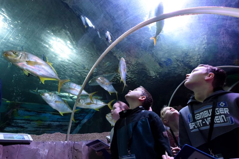 Kinder blicken im Sealife auf schwimmende Fische