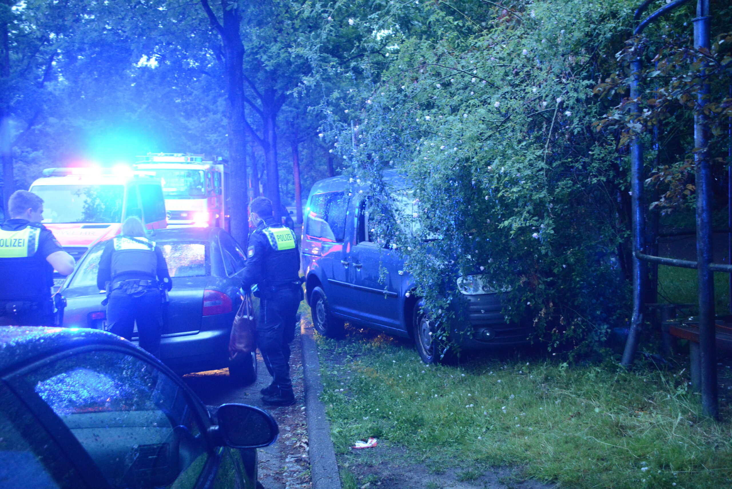 Mann sackt hinter Lenkrad zusammen und kracht gegen Baum – tot