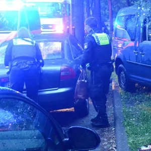Mann sackt hinter Lenkrad zusammen und kracht gegen Baum – tot
