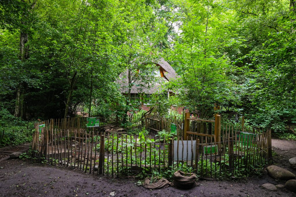 Das Hexenhaus im Kellinghusenpark