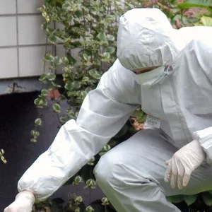 Messerstreit in Wohnunterkunft in Hamburg – Bewohner lebensgefährlich verletzt