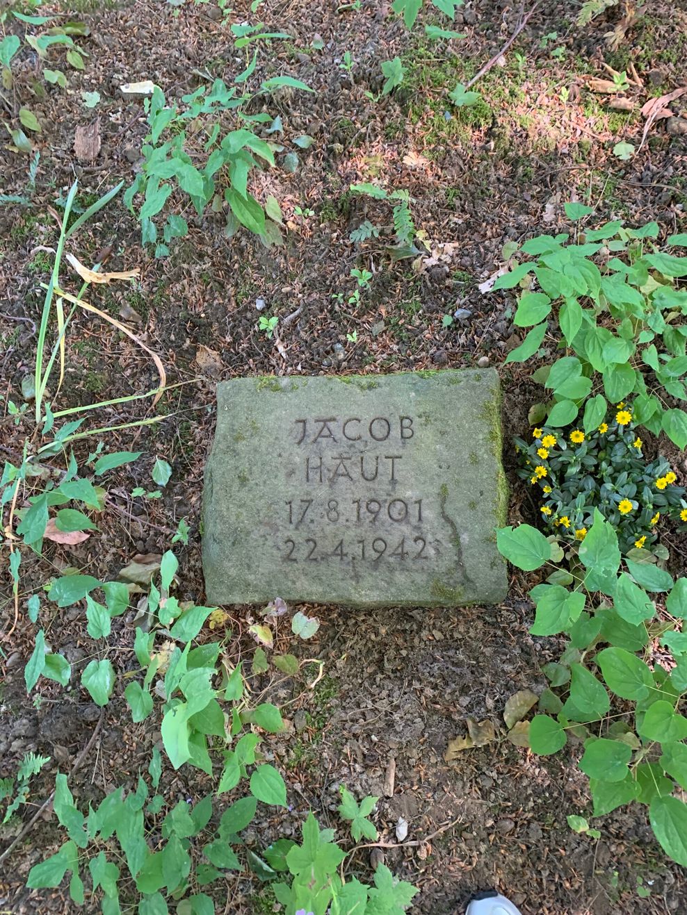 Das Grab von NS-Opfer Jacob Haut auf dem Ohlsdorfer Friedhof