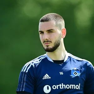 Marko Johansson kam im vergangenen Sommer für 600.000 Euro zum HSV.