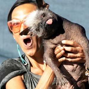 „Mr. Happy Face“ ist jetzt offiziell der hässlichste Hund der Welt.