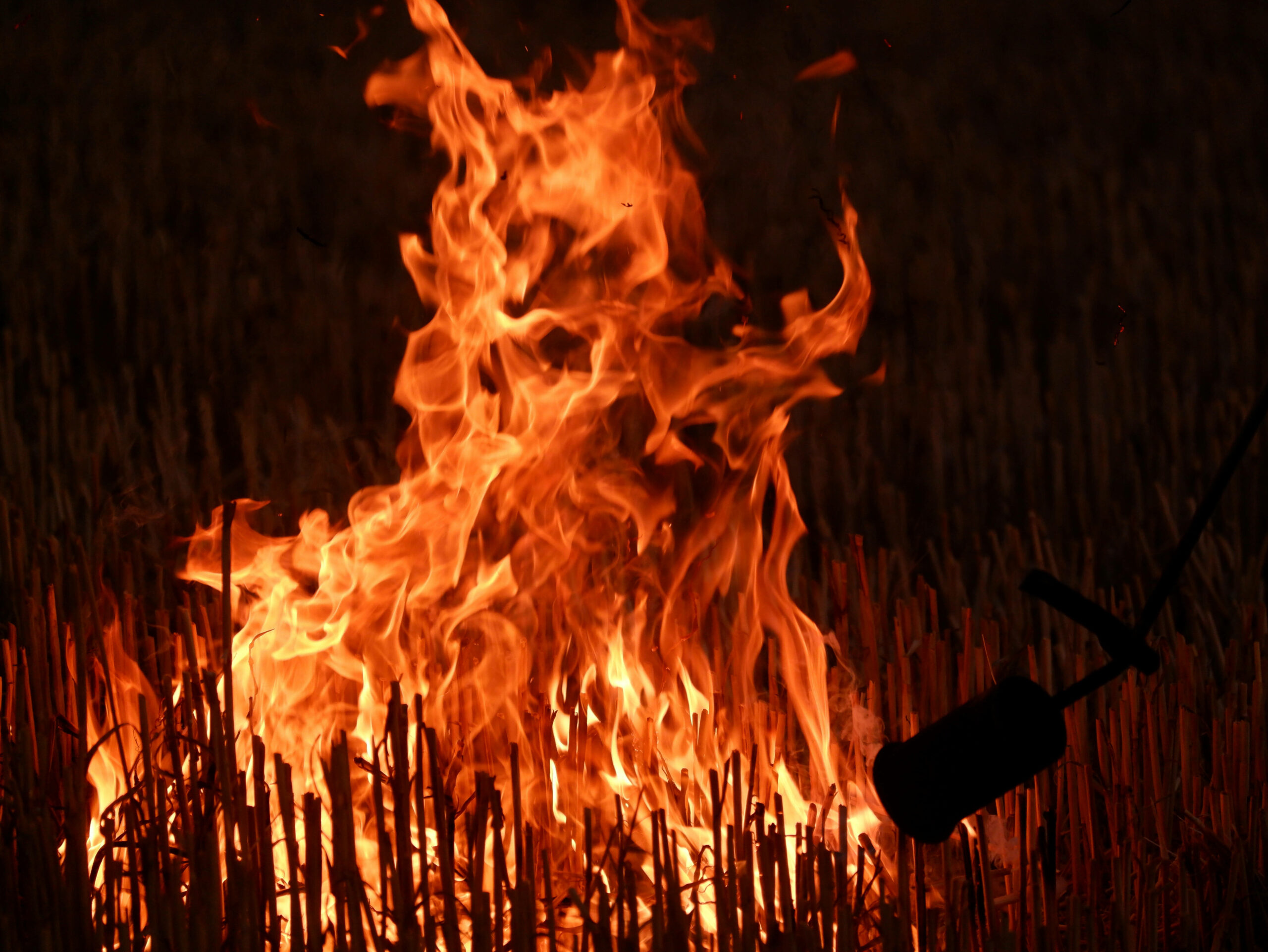 In einigen Teilen Mecklenburg-Vorpommerns gilt die höchste Warnstufe für Waldbrände.(Symbolbild)
