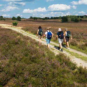 Wandern mit Ausblick: In Norddeutschland gibt es viele schöne Strecken, wie etwa hier durch die niedersächsische Heide.