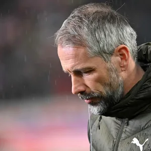 Der BVB erwartet ein höheres Jahresminus, auf Grund der Rose-Trennung