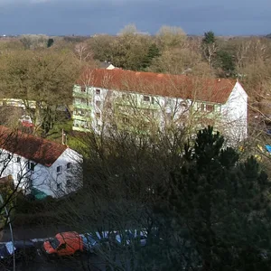 Das Diekmoor in Langenhorn (Archivbild).